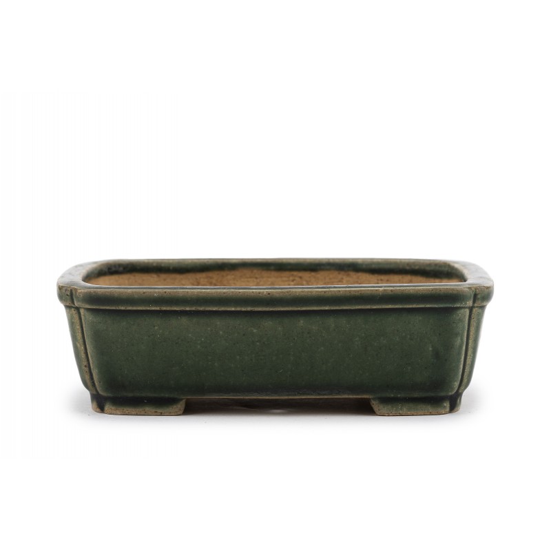 Maceta Bonsái Shibakatsu 23158