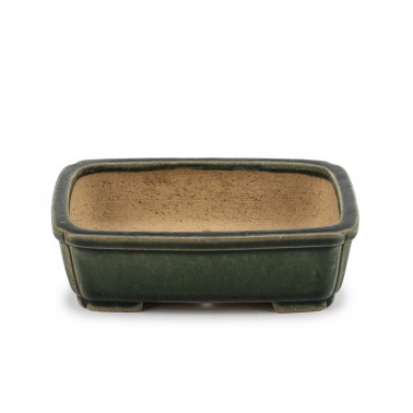 Maceta Bonsái Shibakatsu 23158