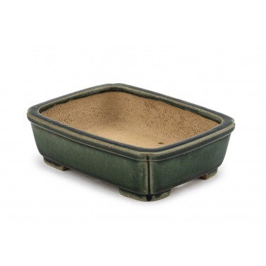 Maceta Bonsái Shibakatsu 23158