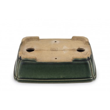 Maceta Bonsái Shibakatsu 23158