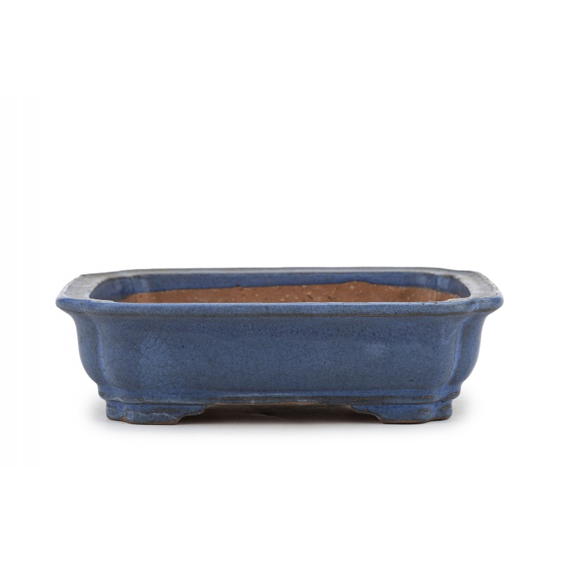 Maceta Bonsái Autor Desconocido 23164