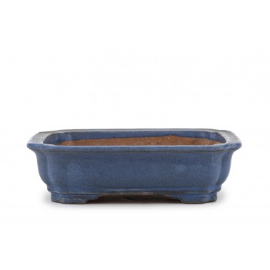 Maceta Bonsái Autor Desconocido 23164