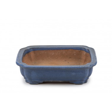 Maceta Bonsái Autor Desconocido 23164