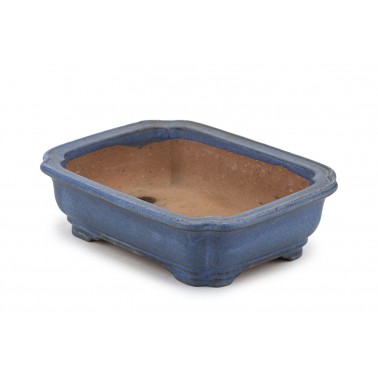 Maceta Bonsái Autor Desconocido 23164