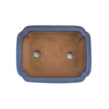 Maceta Bonsái Autor Desconocido 23164