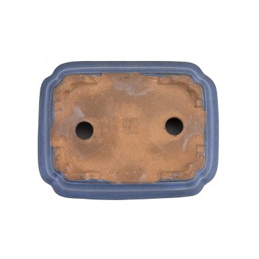 Maceta Bonsái Autor Desconocido 23164