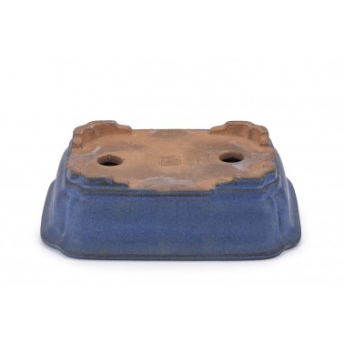 Maceta Bonsái Autor Desconocido 23164