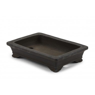 Maceta Bonsái Yamaaki 23172