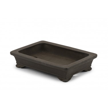 Maceta Bonsái Yamaaki 23173