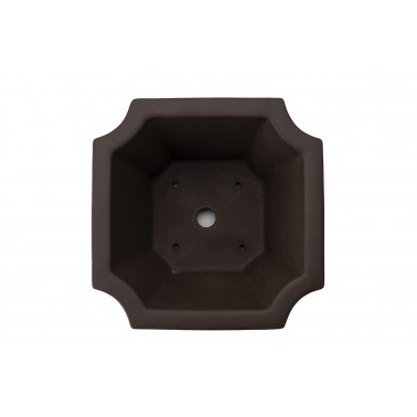 Maceta Bonsái Yixing ZZ-015