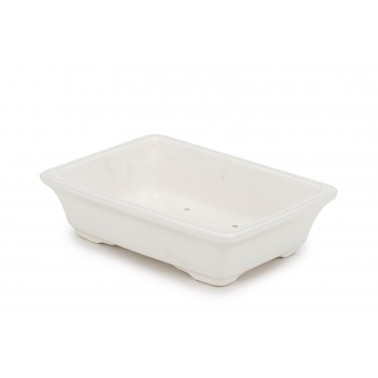 Maceta Bonsái Yixing DY-042WH