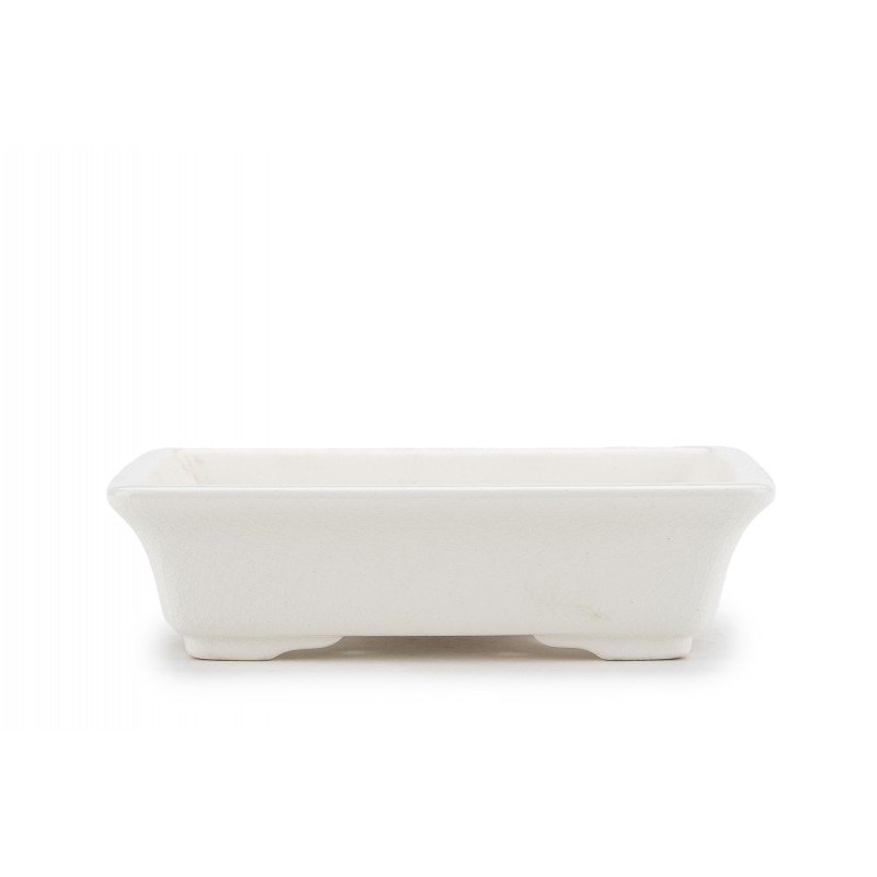 Maceta Bonsái Yixing DY-042WH