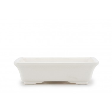 Maceta Bonsái Yixing DY-042WH