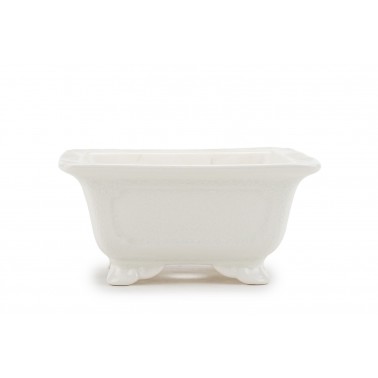 Maceta Bonsái Yixing DY-063WH