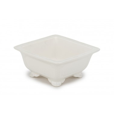 Maceta Bonsái Yixing DY-063WH