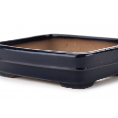 Maceta Bonsái Yamafusa 23183