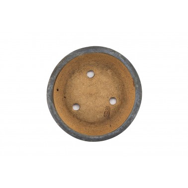 Maceta Bonsái Hattori 23191