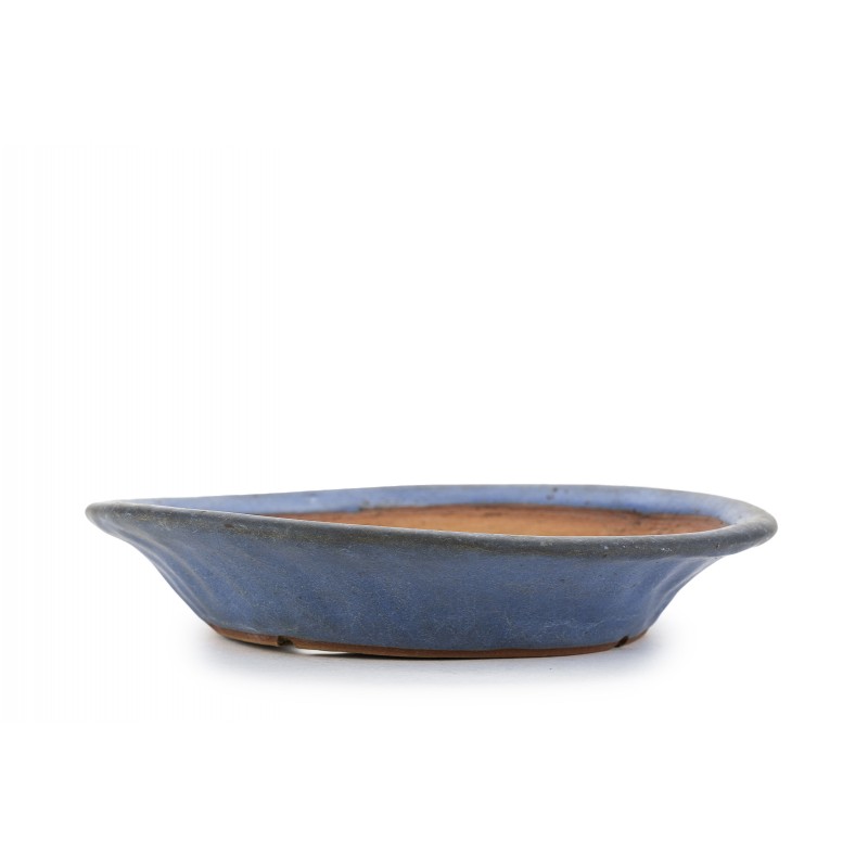 Maceta Bonsái Yamafusa 23192