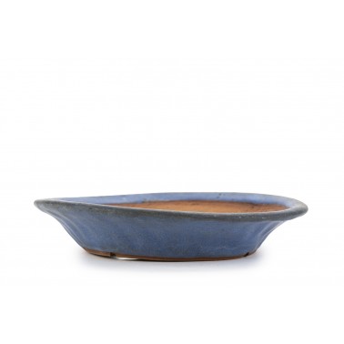 Maceta Bonsái Yamafusa 23192