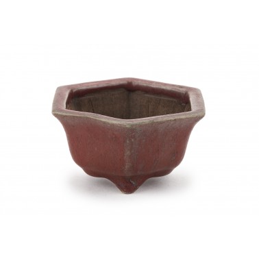 Maceta Bonsái Heian Kousen 23199