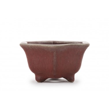 Maceta Bonsái Heian Kousen 23199