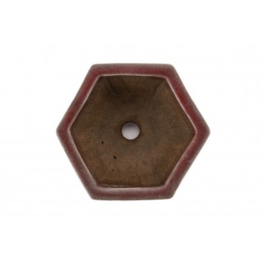 Maceta Bonsái Heian Kousen 23199