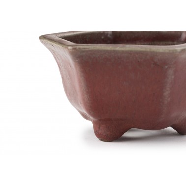 Maceta Bonsái Heian Kousen 23199