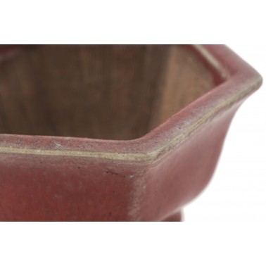 Maceta Bonsái Heian Kousen 23199