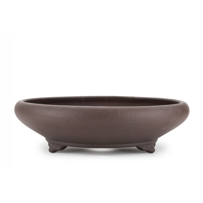 Maceta Bonsái Reihou 24003