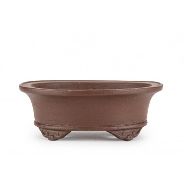 Maceta Bonsái Shibakatsu 24008