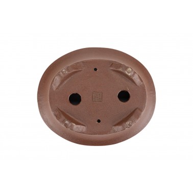 Maceta Bonsái Shibakatsu 24008