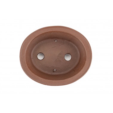 Maceta Bonsái Shibakatsu 24008