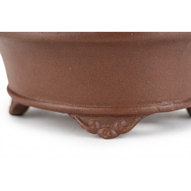 Maceta Bonsái Shibakatsu 24008