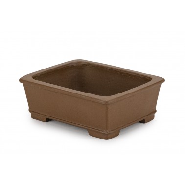 Maceta Bonsái Shibakatsu 24010