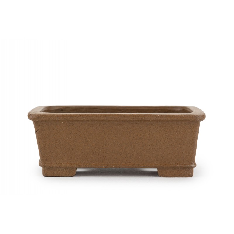 Maceta Bonsái Shibakatsu 24010