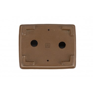 Maceta Bonsái Shibakatsu 24010