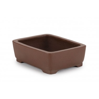 Maceta Bonsái Shibakatsu 24011