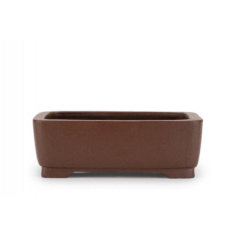 Maceta Bonsái Shibakatsu 24011