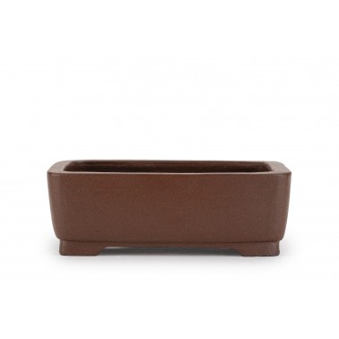 Maceta Bonsái Shibakatsu 24011