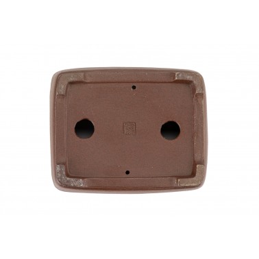 Maceta Bonsái Shibakatsu 24011