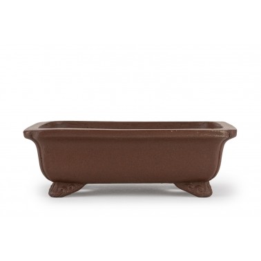 Maceta Bonsái Shibakatsu 24012