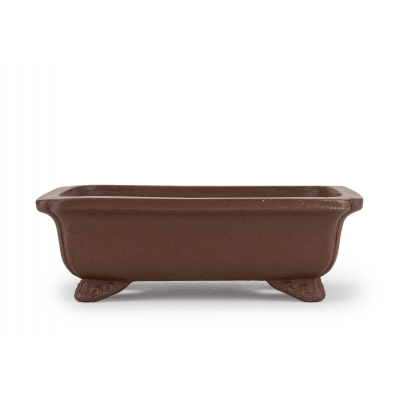 Maceta Bonsái Shibakatsu 24012