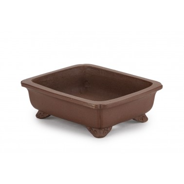 Maceta Bonsái Shibakatsu 24012