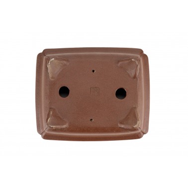 Maceta Bonsái Shibakatsu 24012