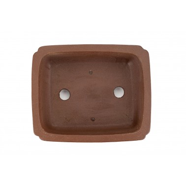 Maceta Bonsái Shibakatsu 24012