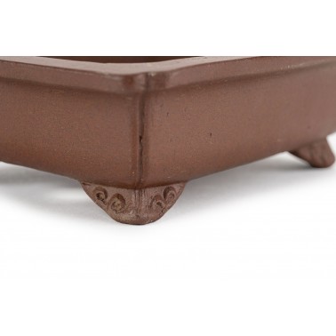 Maceta Bonsái Shibakatsu 24012