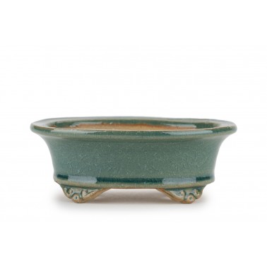 Maceta Bonsái Shibakatsu 24019