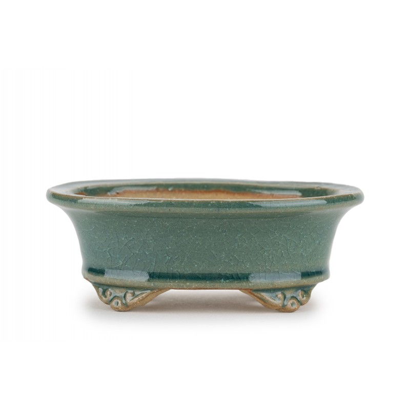 Maceta Bonsái Shibakatsu 24019