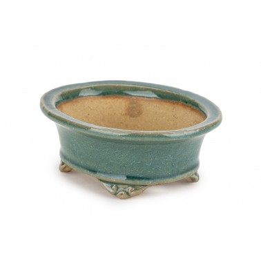 Maceta Bonsái Shibakatsu 24019