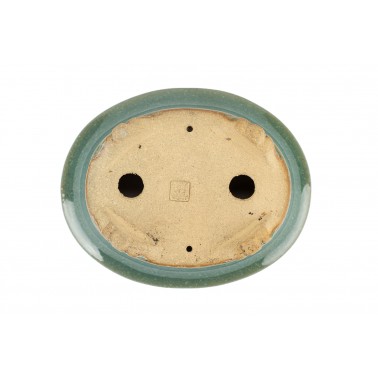 Maceta Bonsái Shibakatsu 24019